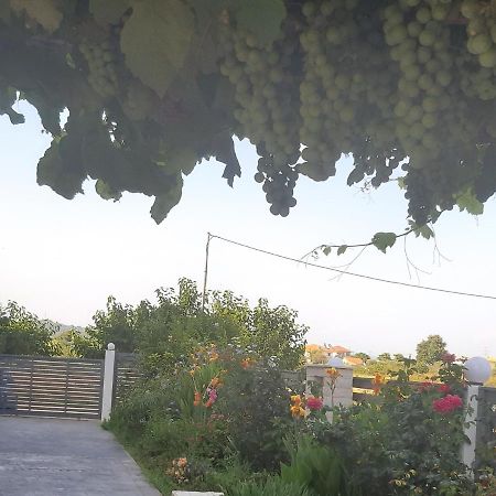 Elsa Home Preveza Bagian luar foto
