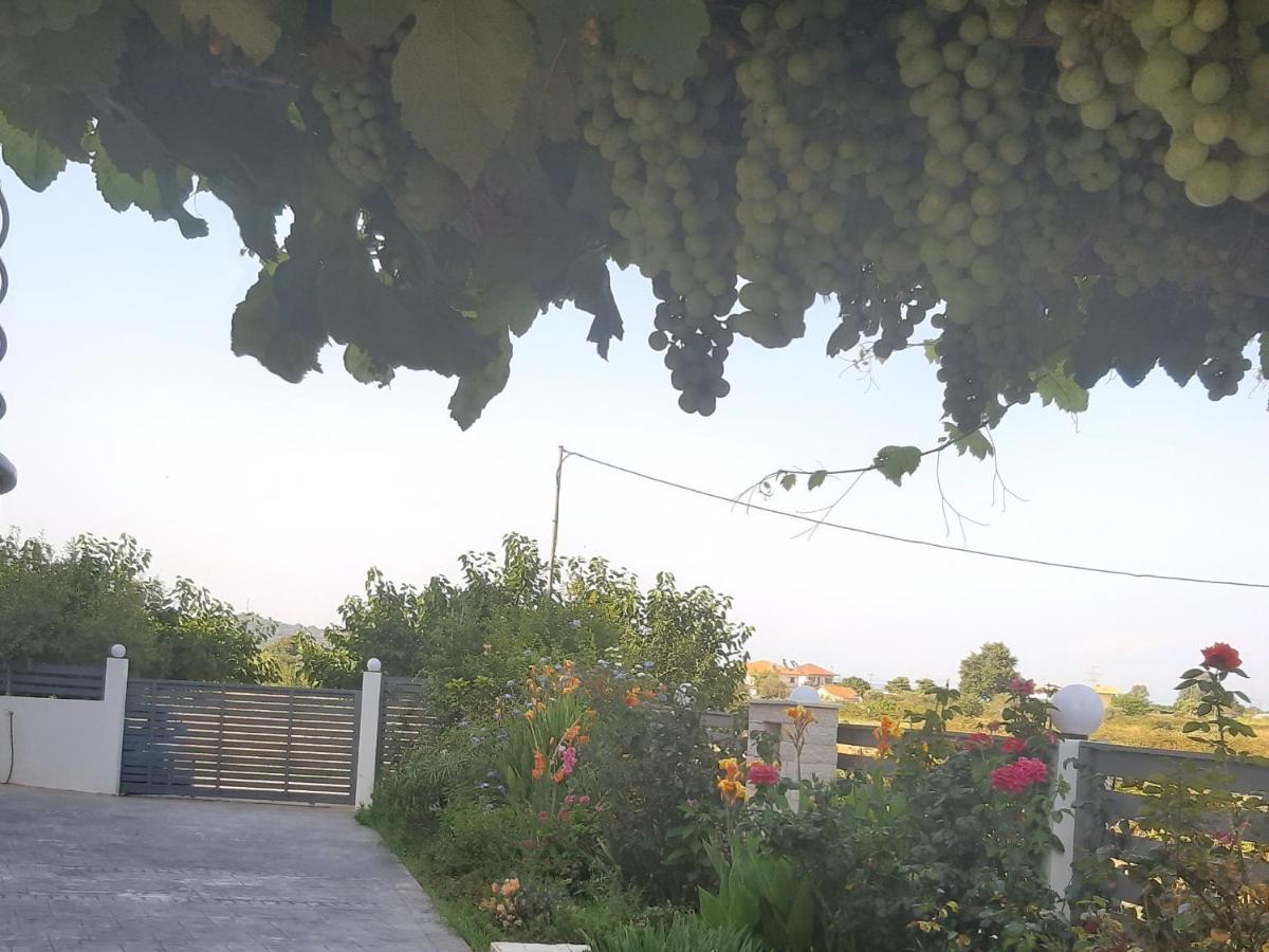 Elsa Home Preveza Bagian luar foto