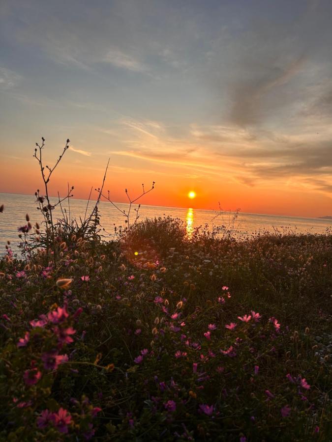 Elsa Home Preveza Bagian luar foto